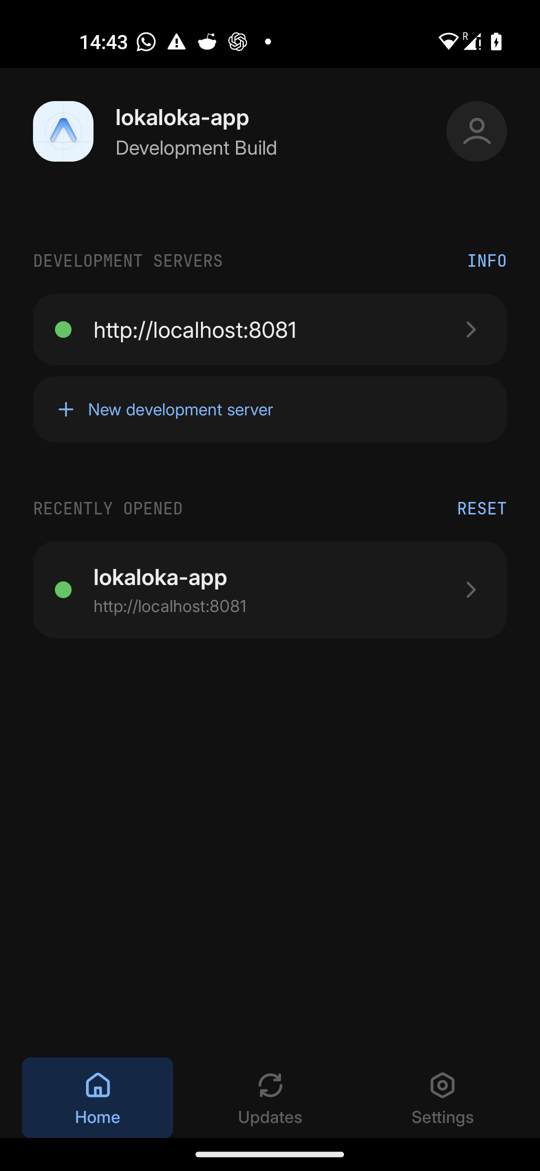 lokaloka devlauncher after clean start