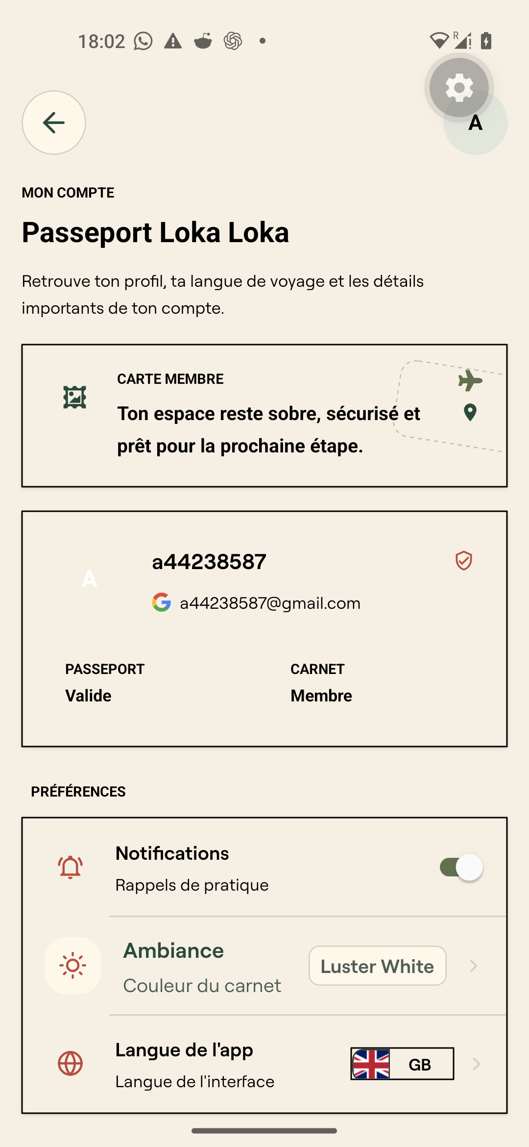 lokaloka profile audit 01